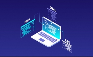 編碼與創(chuàng)造 筆記本電腦在軟件開(kāi)發(fā)中的矢量藝術(shù)呈現(xiàn)